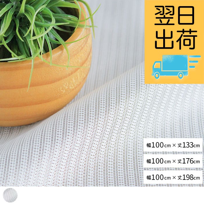 既製サイズリーガレース