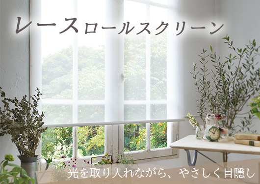 レースロールスクリーン