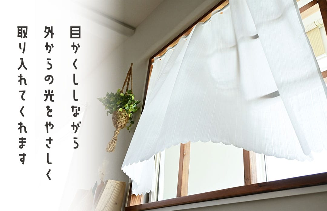 カフェカーテンが風になびいれいる画像