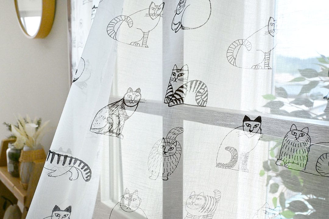 ボイルレース　スケッチ