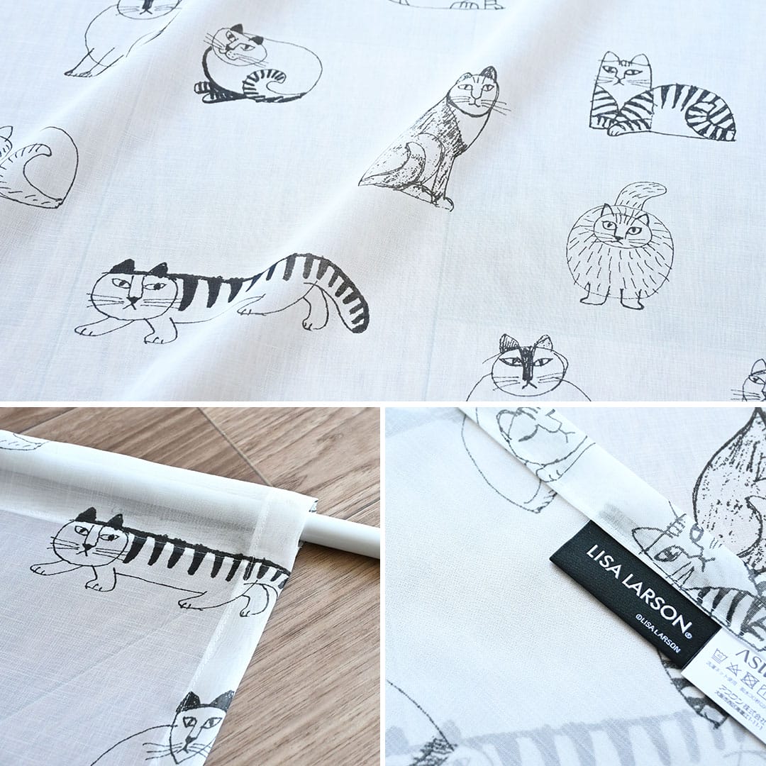 ボイルレース　スケッチ