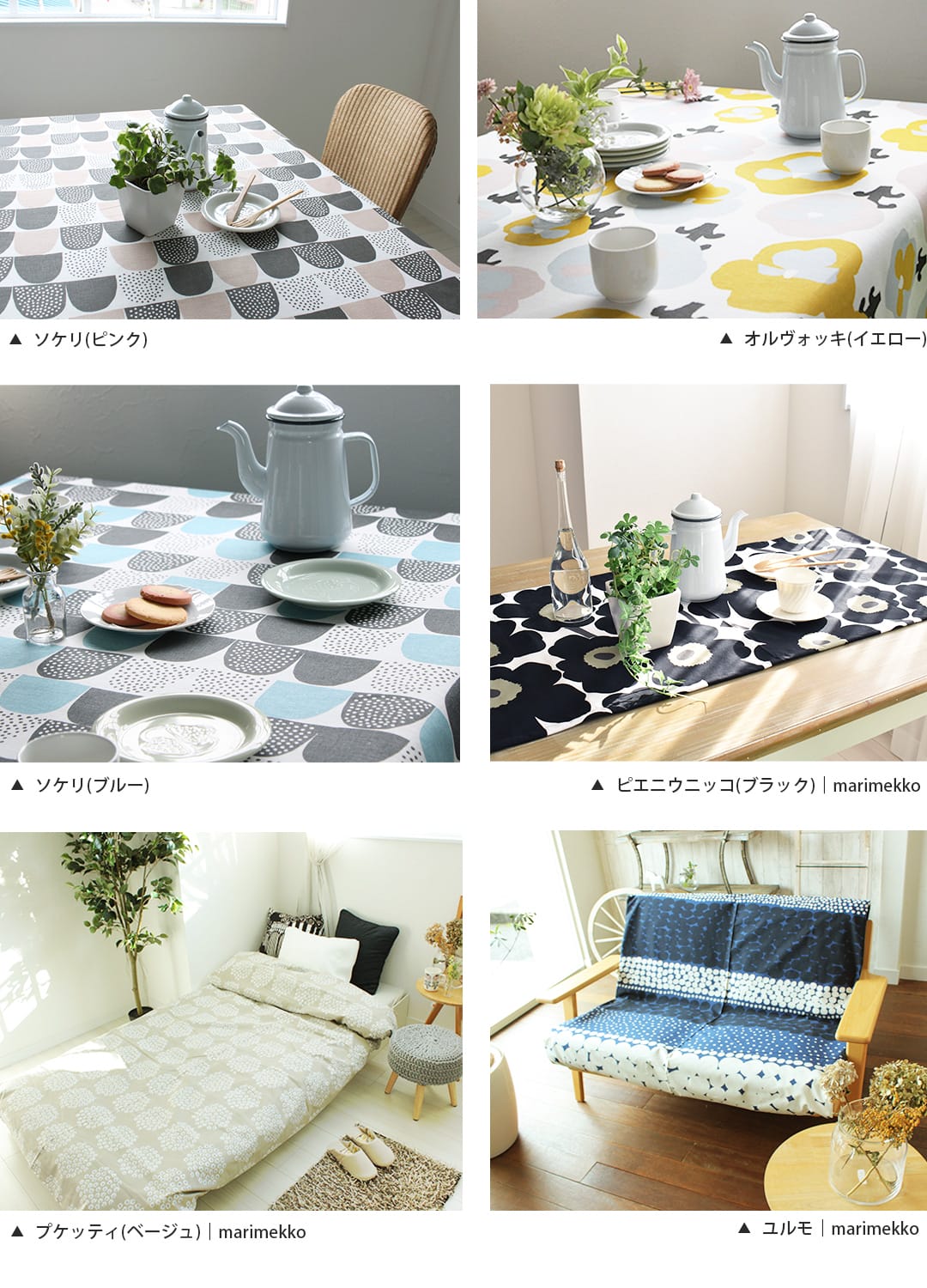 カウニステのマルチクロス・フリークロス