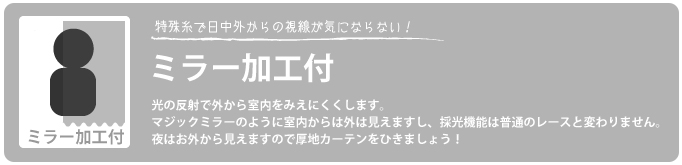 日中外から見えにくミラー加工付き