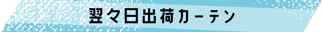翌日出荷カーテンについてのご注意