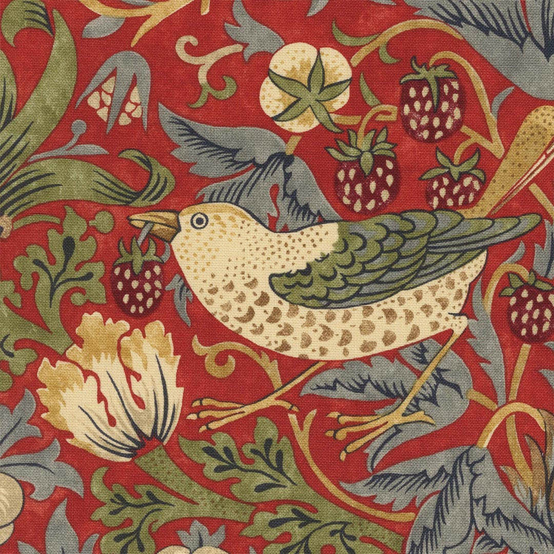 イチゴドロボウ(312(レッド))