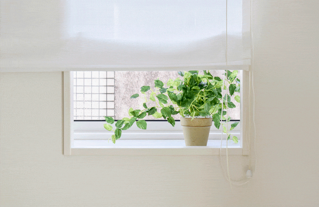 エコモア シェードカーテン