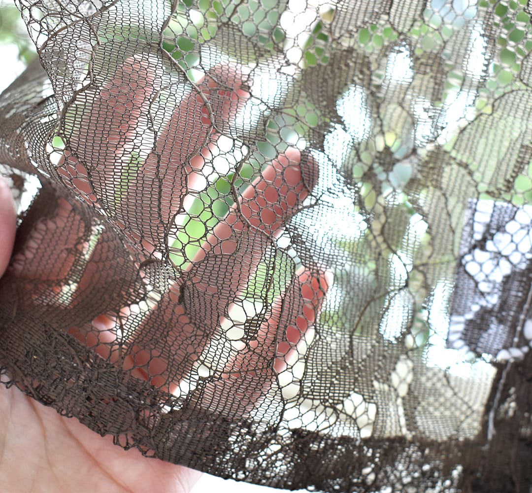 エレナ｜ブラウン