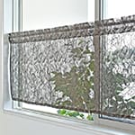 エレナ｜ブラウン