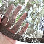 エレナ｜ブラウン