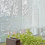 エレナ｜ホワイト