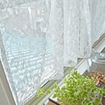 エレナ｜ホワイト