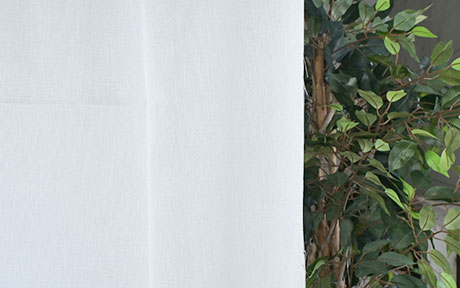 リネージュ日中の見え方