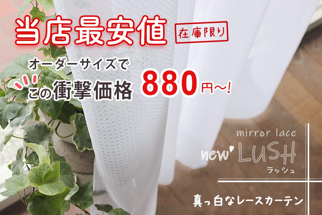 激安レースカーテンニューラッシュ