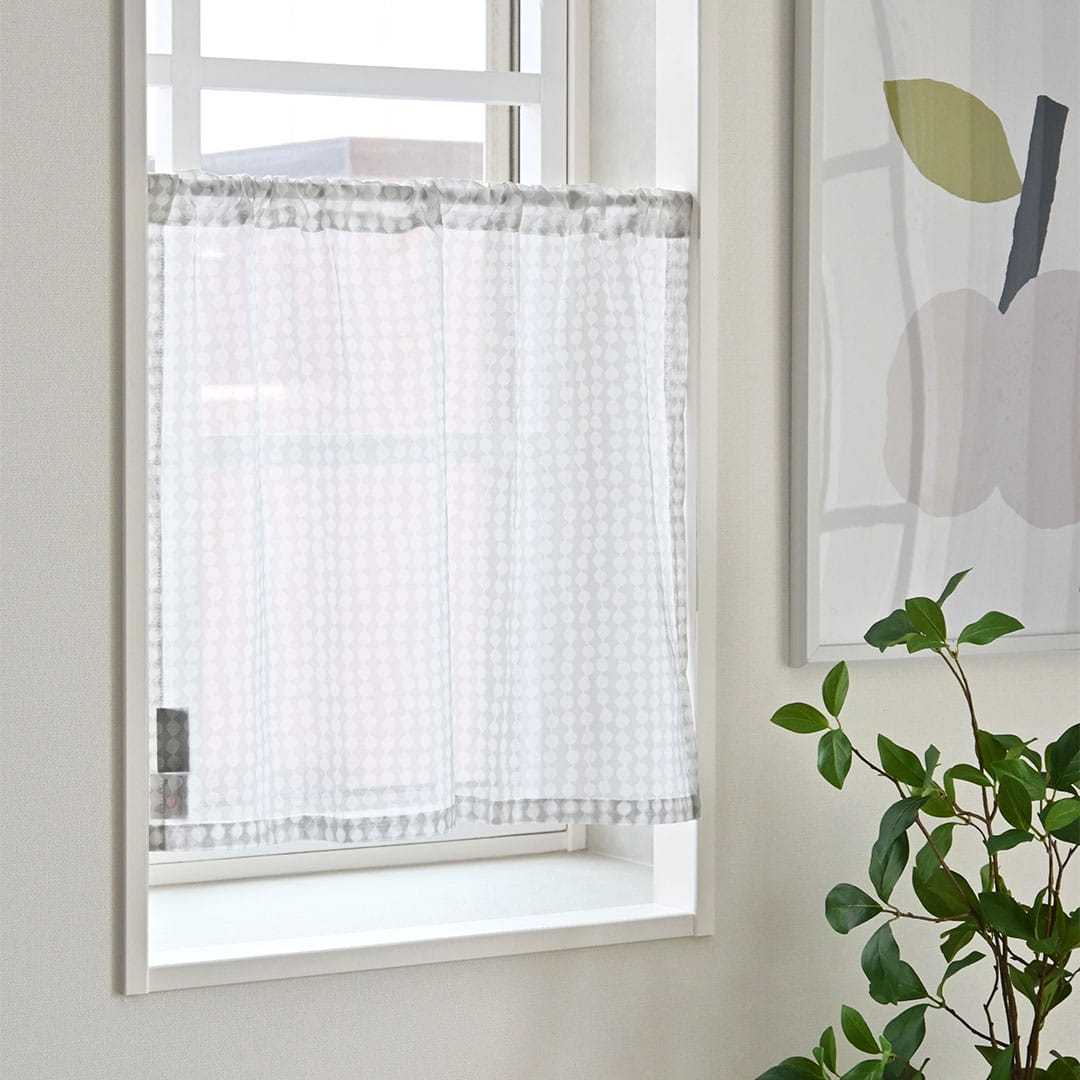 フィンレイソン　パンプーラ