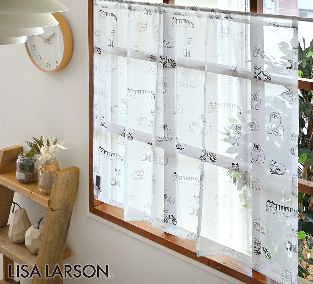 ボイルレース　スケッチ