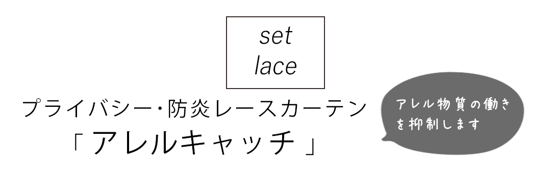 セットレース