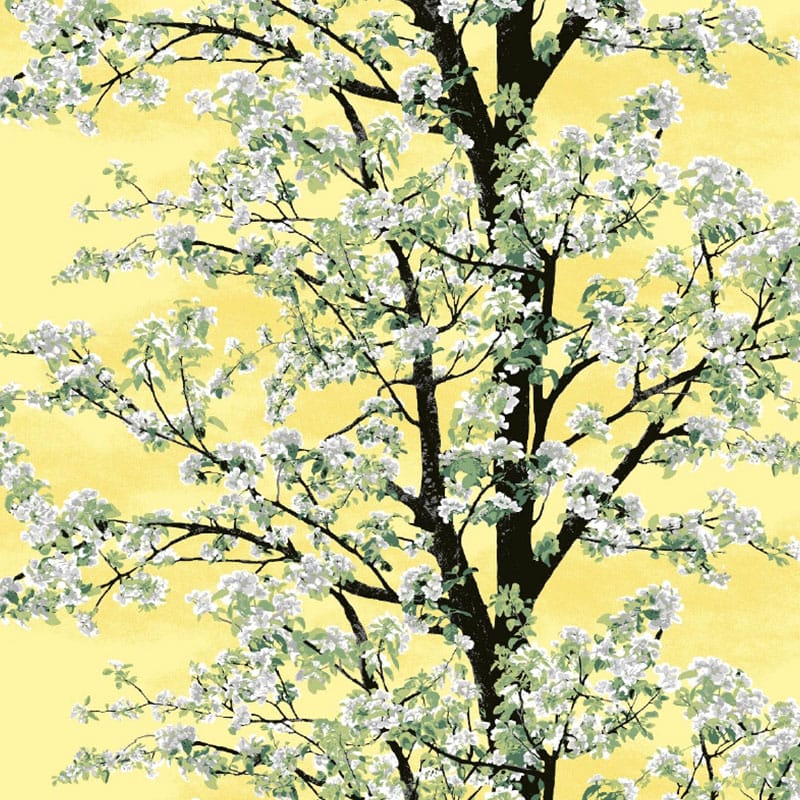 メナプー(イエロー)