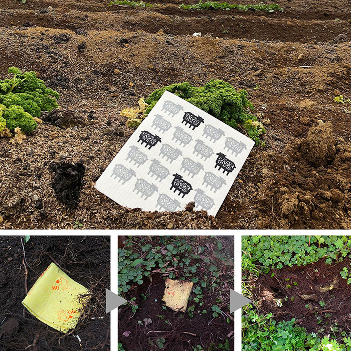 サスティナブル