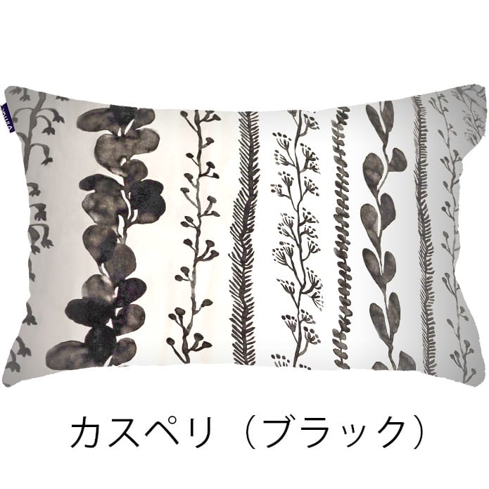 カスペリ(ブラック)