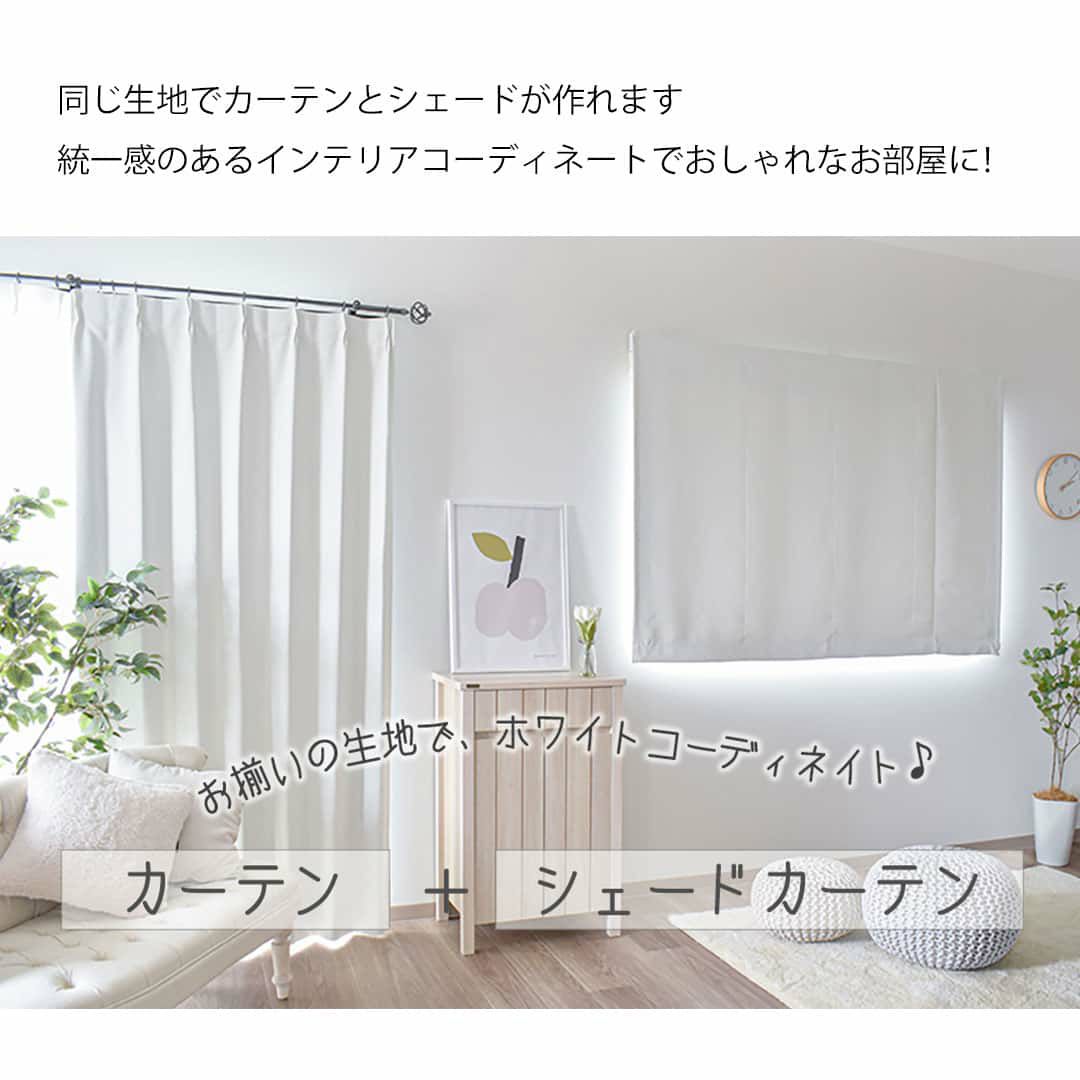 高機能で清潔感がありスッキリと見せるパーフェクトなホワイトシェード