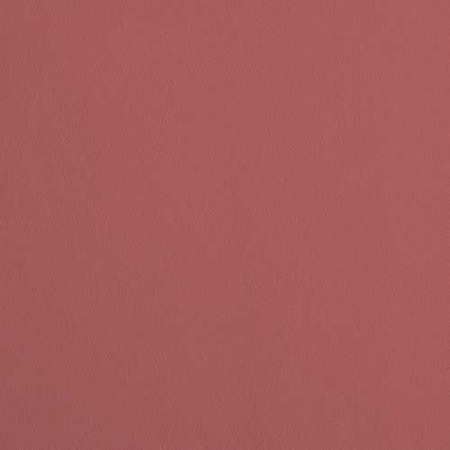 カメリア