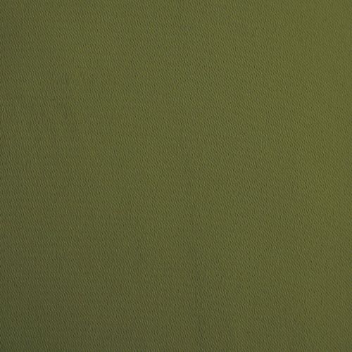 オリーブグリーン