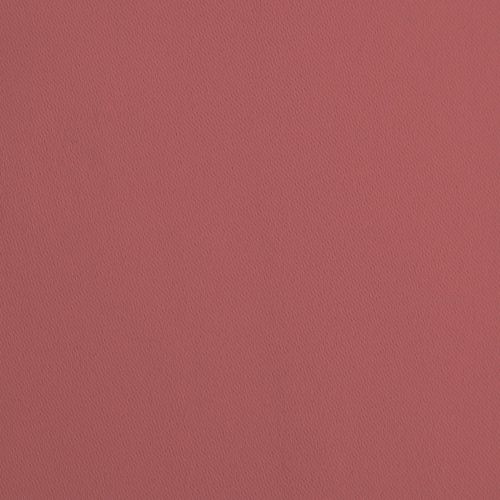 カメリア