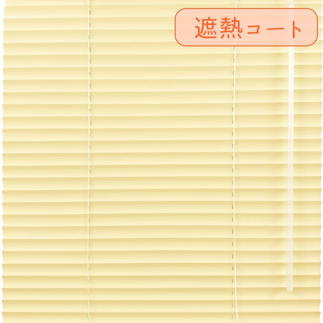 ダンデライオン