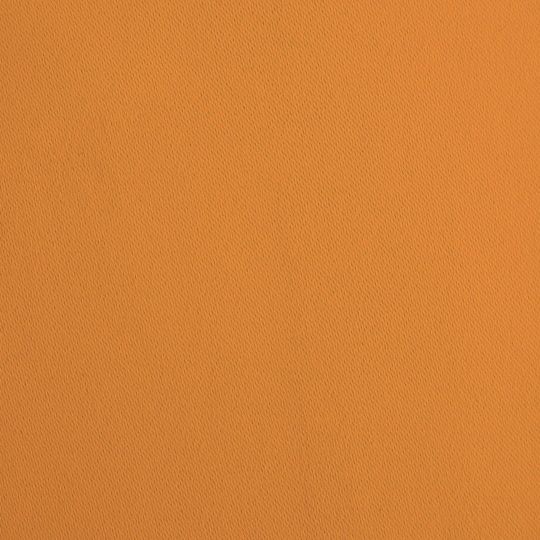 オールワン(パンプキン)