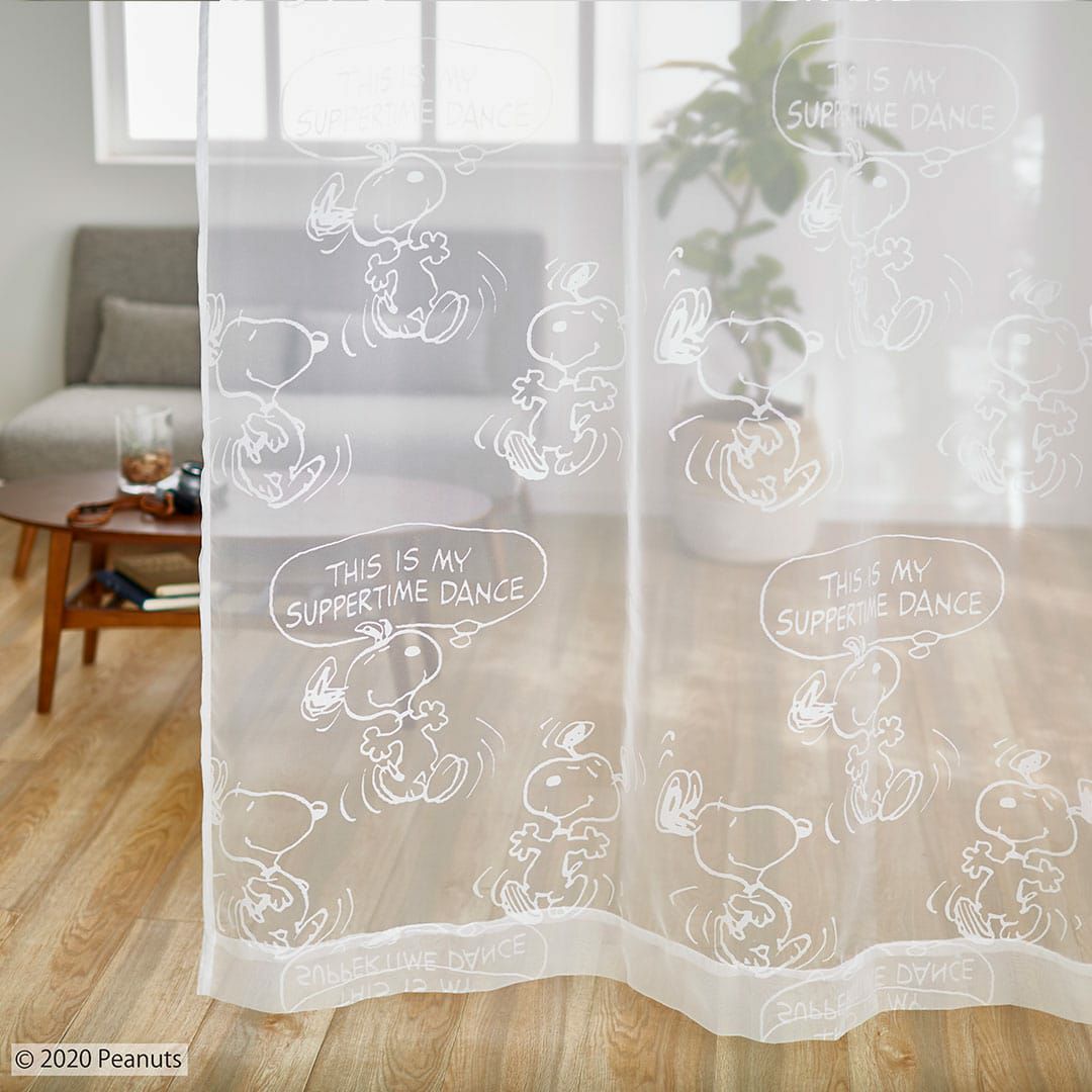 サパータイムダンスボイル