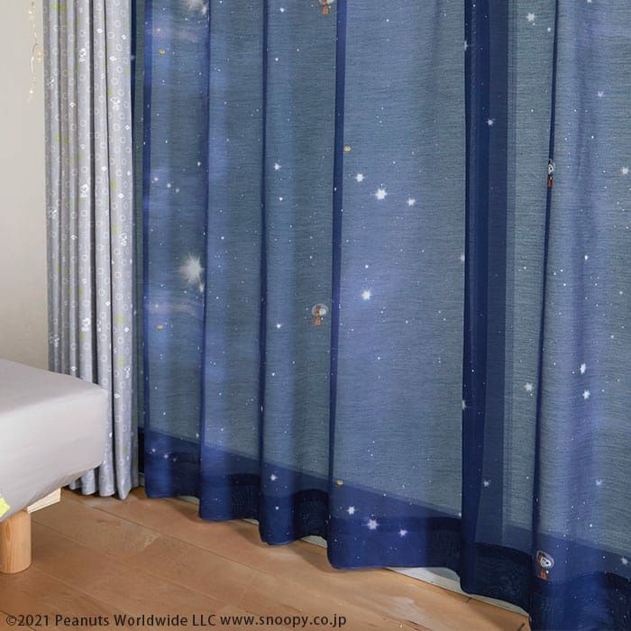 ファーストビーグル