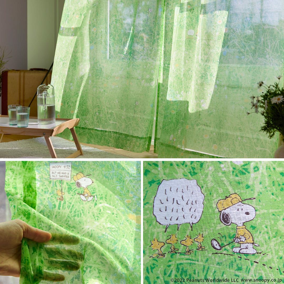 フィールドボイル