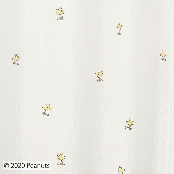 チャットウェイボイル