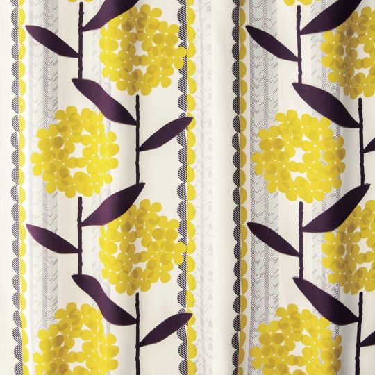 ケイランサス（イエロー）