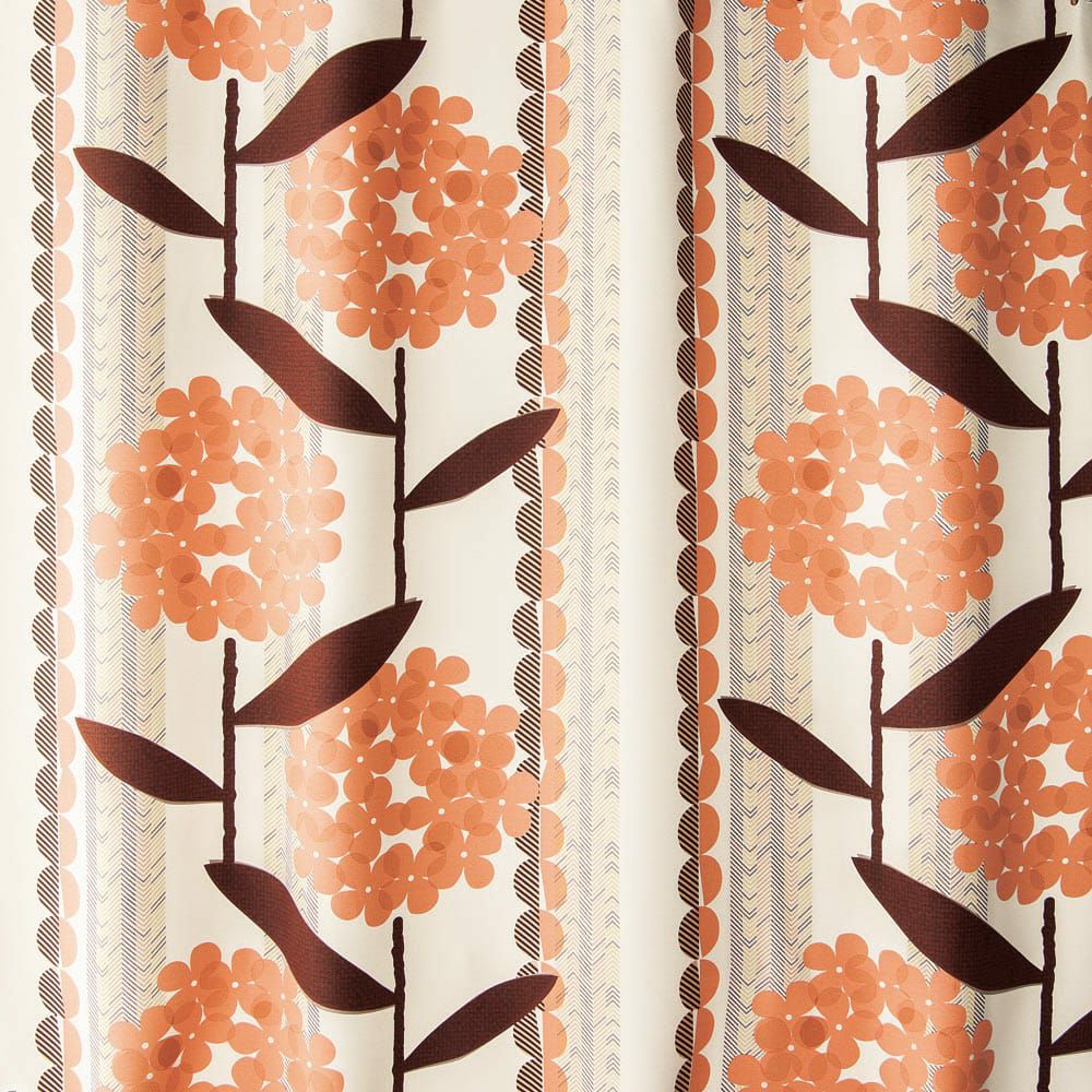 ケイランサス（ピンク）