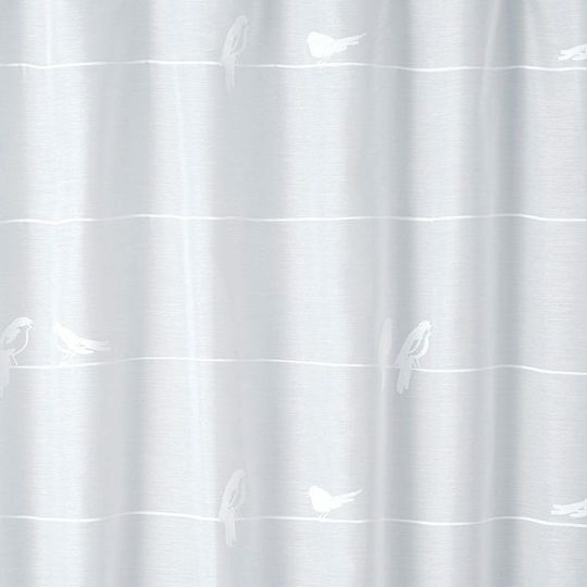 シングバードボイル