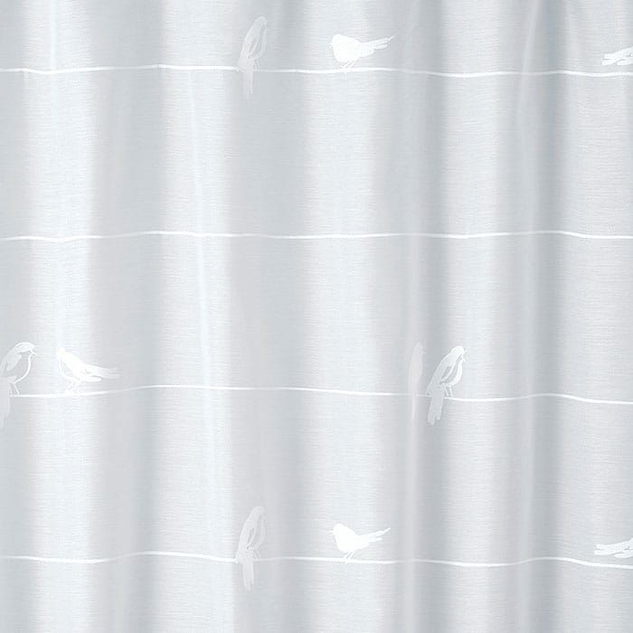 シングバードボイル