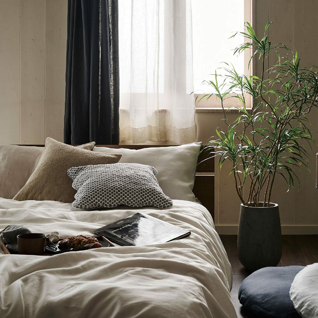 チャコール（CGY）