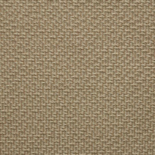 ライトブラウン