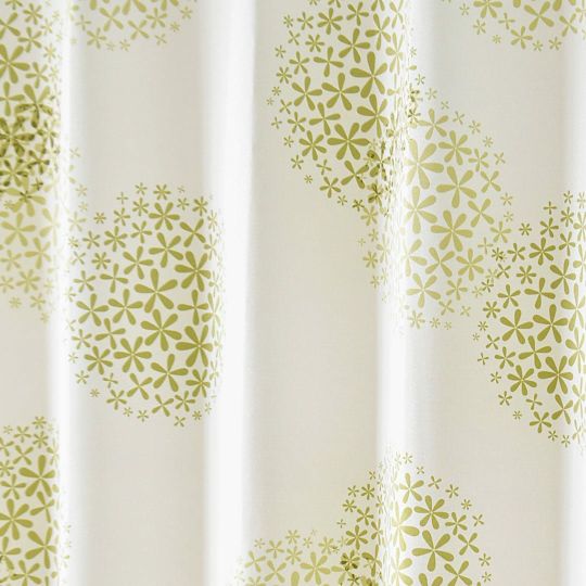 シオン(グリーン)