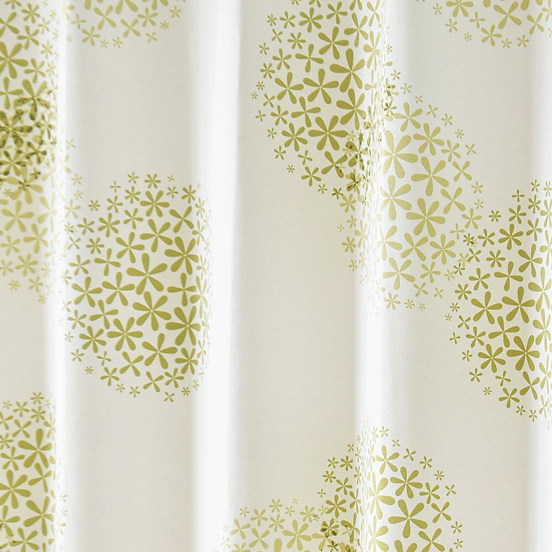 シオン(グリーン)