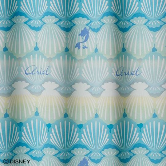 シェル（ライトブルー）