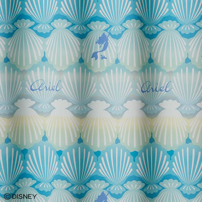 シェル（ライトブルー）