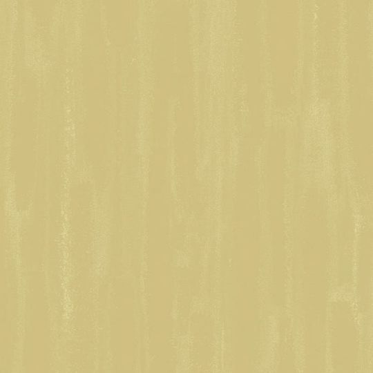 ノザラシ（イエロー）