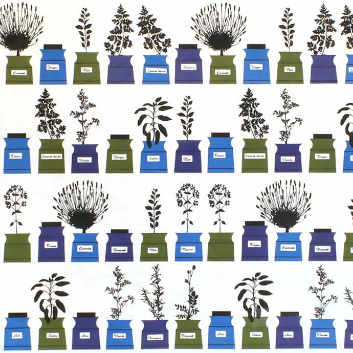 ペーションズクリッドスコープ(ブルー)