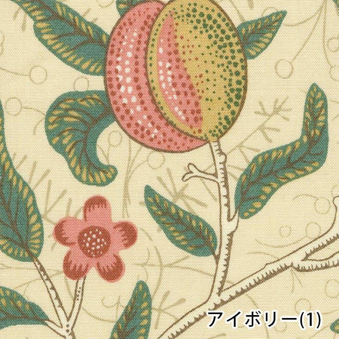 フルーツ(1)アイボリー