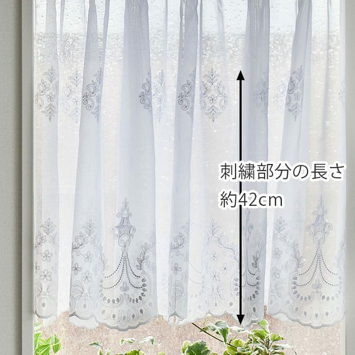 ジェーン