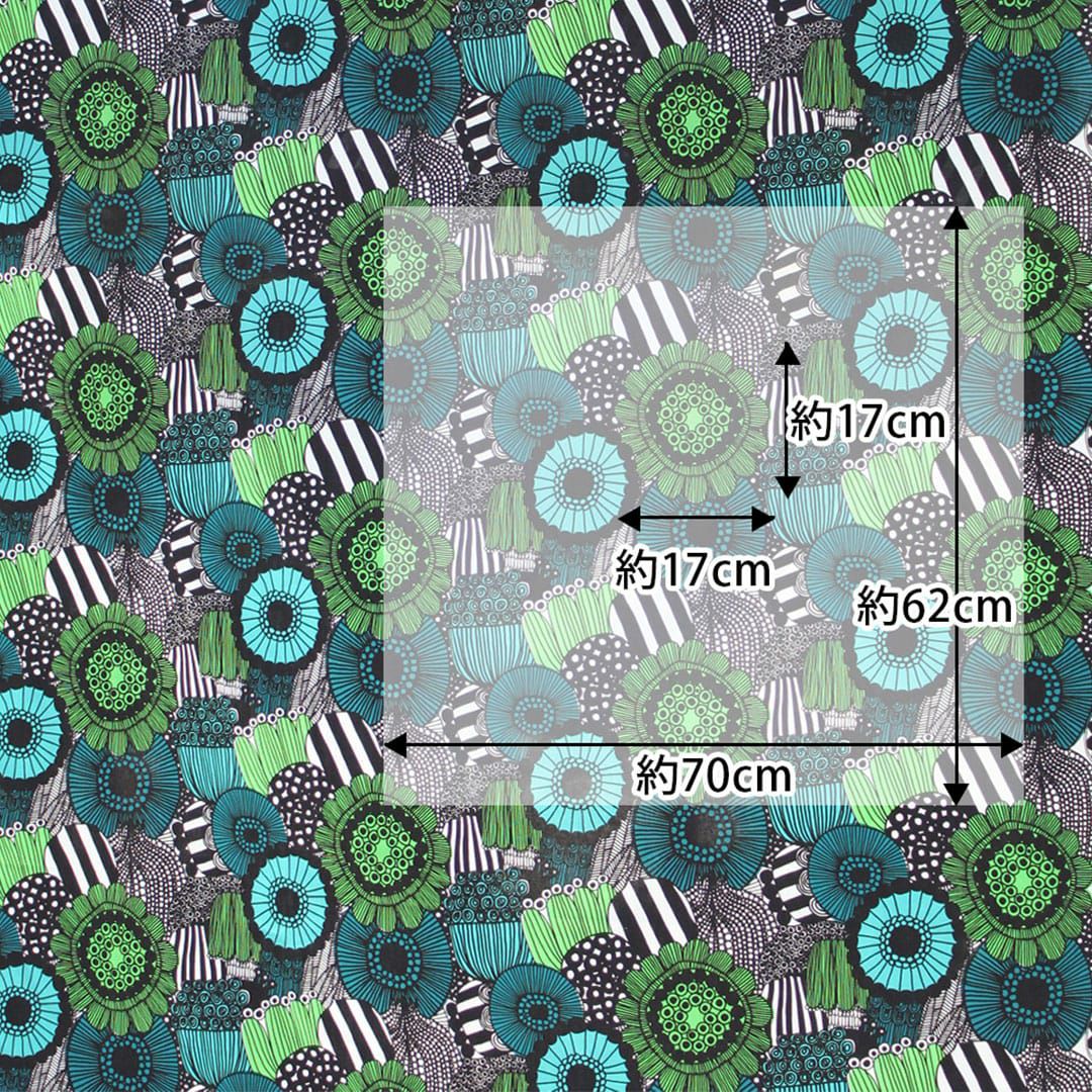 ピエニシイルトラプータルハ