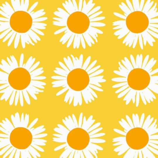 アウリンゴンクッカ