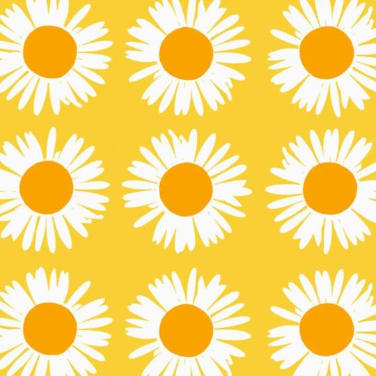 アウリンゴンクッカ